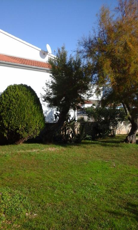 Apartment Benjamin Rogoznica  Εξωτερικό φωτογραφία